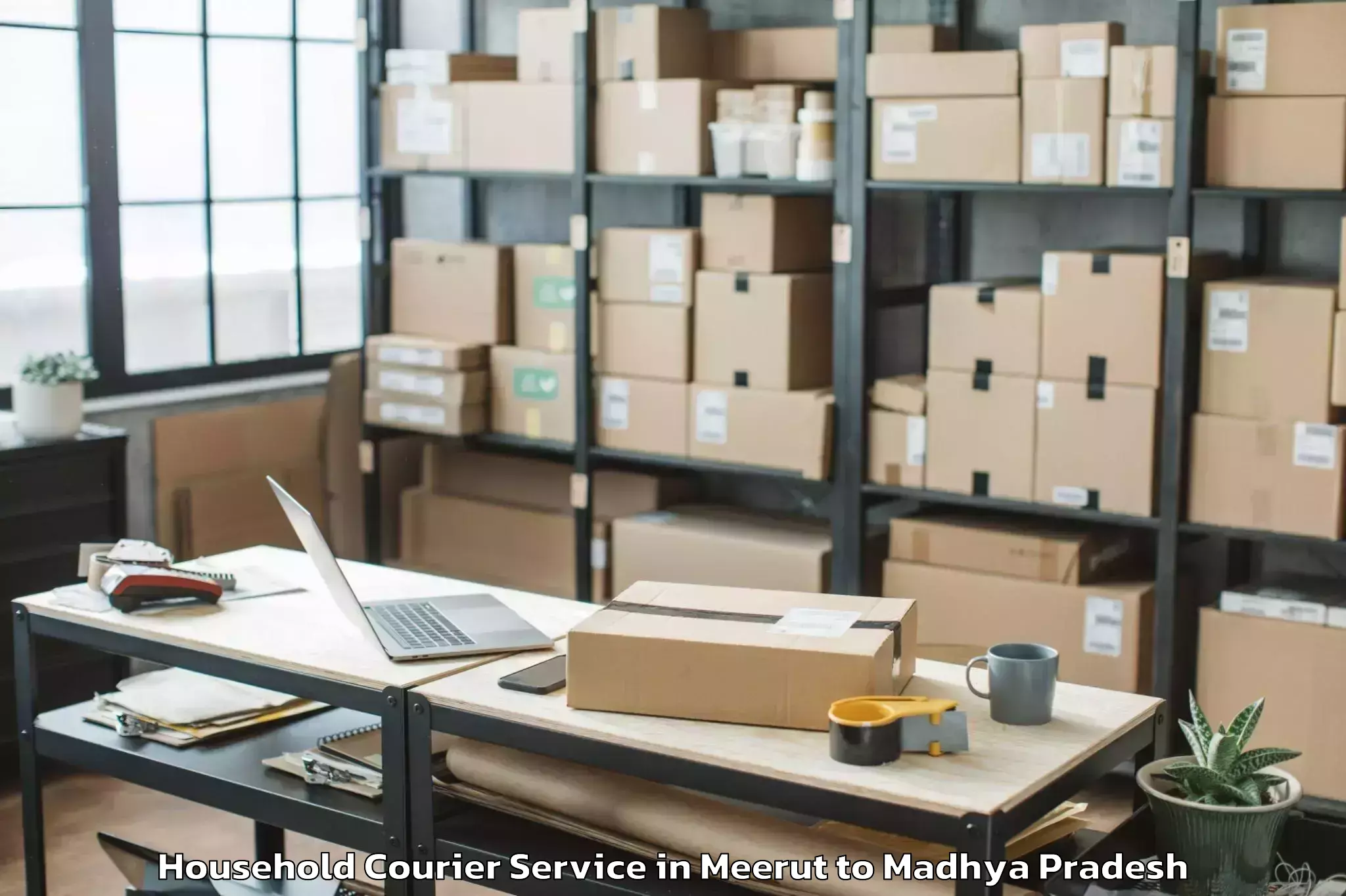 Reliable Meerut to Suwasra Household Courier